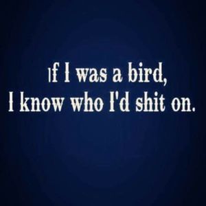 Meet your Posher, Travis